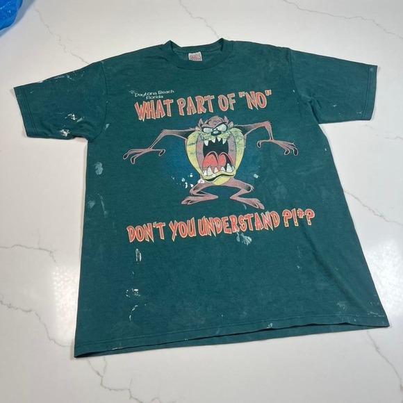 Sherry's Best Other - 90s  Taz Graphic Tee Mens Large Green Distressed Daytona Beach Florida